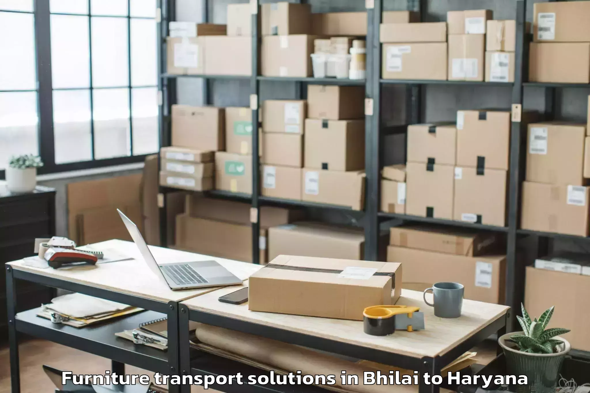 Reliable Bhilai to Narnaul Furniture Transport Solutions